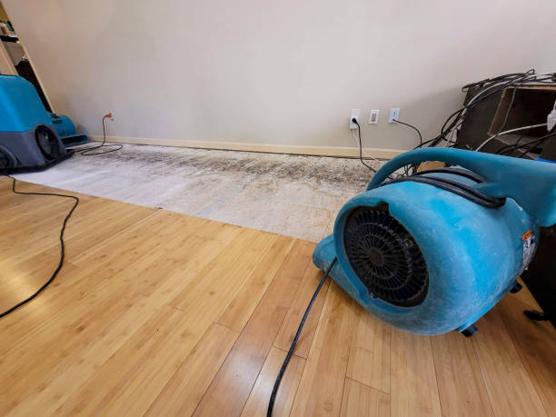 Professional Flood Damage Cleanup technician working in Bayport, NY